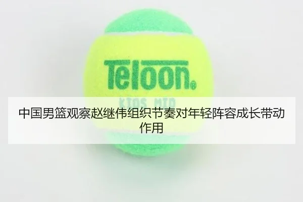 中国男篮观察赵继伟组织节奏对年轻阵容成长带动作用